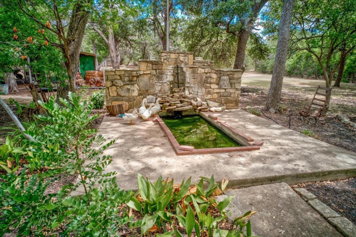 Relaxing Alpaca Ranch Mins From Downtown Wimberley Villa Bagian luar foto
